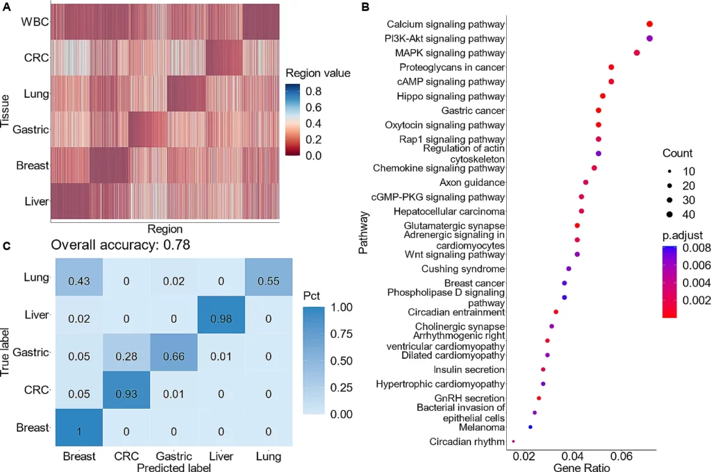 Fig. 2 - The tumor-specific methylation atlas